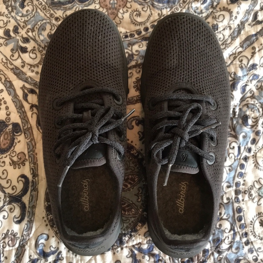 Allbirds Tree